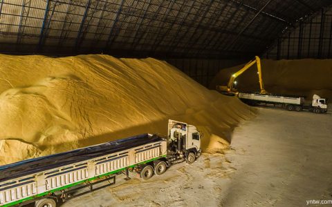 俄罗斯一季度食糖产量同比增长47% 足够国内消费仍然停止出口