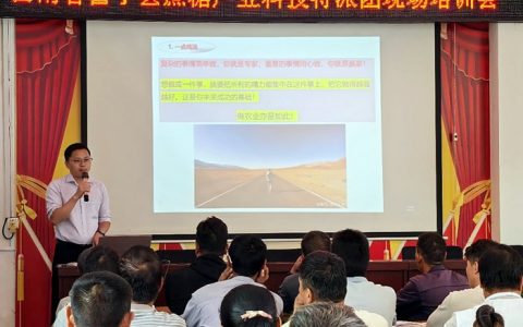 科技特派团为云南富宁甘蔗产业发展注入科技动力
