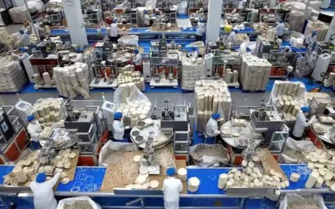 广西成中国最大蔗渣环保餐具生产与出口基地