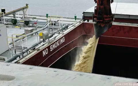 8月份前四周巴西出口糖280万吨 日均出口量同比增5%