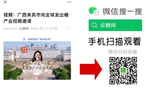 广西来宾市向全球发出糖产业招商邀请