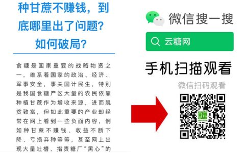种甘蔗不赚钱，到底哪里出了问题？如何破局？