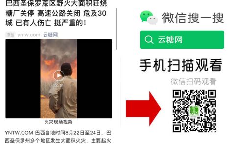 巴西圣保罗蔗区野火大面积狂烧 糖厂关停 高速公路关闭 危及30城 已有人伤亡 挺严重的！