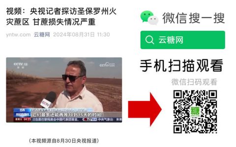 视频：央视记者探访圣保罗州火灾蔗区 甘蔗损失情况严重