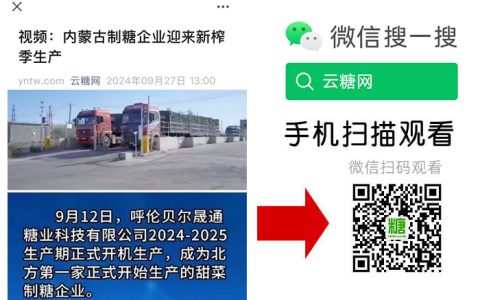视频：内蒙古制糖企业开机生产 拉开2024/25榨季生产序幕