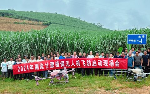 无人机飞防助力 澜沧蔗糖产量不断创新高