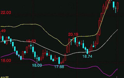 中东局势升温 原糖期货上涨 10月合约到期交割170万吨 丰益国际唯一接货方