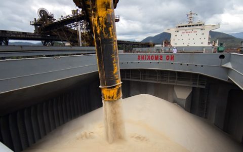 巴西食糖出口再创单月历史新高 9月出口收入达18亿美元 全球需求旺盛 数据分析解读