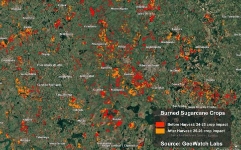丰益国际：进一步下调巴西食糖产量 本榨季以及下榨季甘蔗产量分析解读