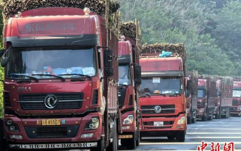 中国老挝2024至2025年度榨季甘蔗跨境运输启动