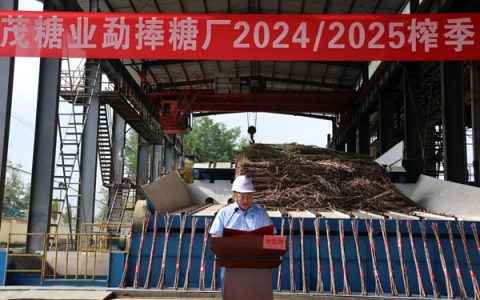 英茂糖业勐捧糖厂2024/25榨季喜庆开榨
