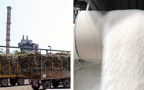 印度2024/25新榨季初期表现解析：开局进展缓慢 开榨糖厂同比减45%  产销平衡仍具挑战