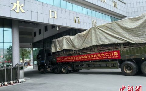2024/25年榨季越南首批糖料蔗从广西水口口岸入境