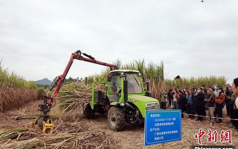 全国甘蔗机收现场推进会广西举办 破解机械化收获难题