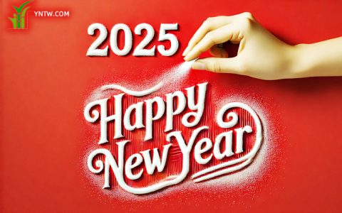 新年快乐！Happy New Year！Sweet Year!