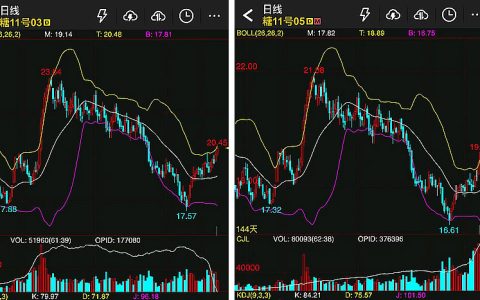 本周国际糖价周涨幅超7%  3月合约交割41万吨  多重利好助推糖价
