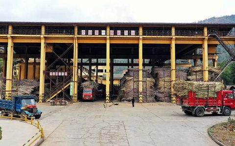 “甜蜜事业”飘香 新平县今年预计产糖3万吨