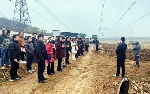 2025年广西南宁市糖料蔗单产提升行动正式拉开序幕