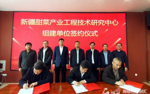 新疆启动筹建甜菜产业工程技术研究中心
