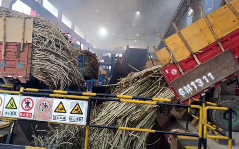 云南：耿马县产糖量超30万吨 三项指标连续九年全省第一