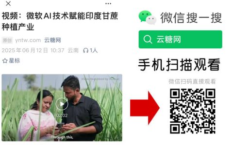 视频：微软AI技术赋能印度甘蔗种植产业