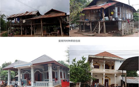 甜蜜事业赋能老挝乡村 中老合作铺就发展新路