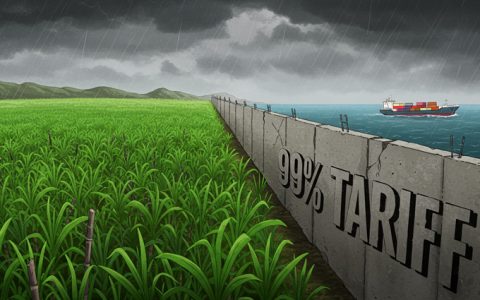 说变就变！美关税大棒下的“甜蜜”牺牲品：巴西有机糖产业的生存危机