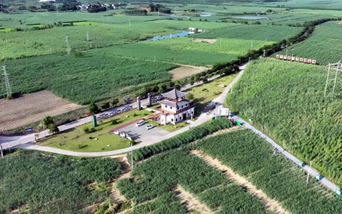 央视新闻：全链协同构建起广西甘蔗产业发展新格局