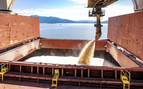 量价齐跌！巴西食糖出口形势严峻！1-8月出口收入锐减26.6%