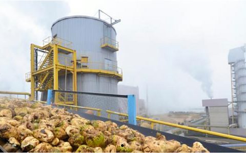 俄罗斯对乌兹别克斯坦食糖出口创五年新高，2026年增势延续