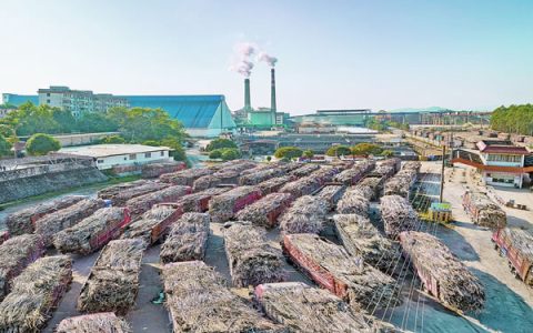 广西日报：崇左市发力糖业循环经济激活全产业链观察