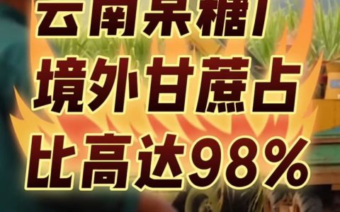 云南一家糖厂境外进口甘蔗占比高达98%！