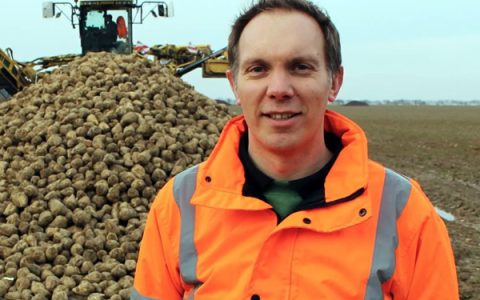 英国甜菜含糖量创历史新高 糖厂迎来意外收获 加工进度超预期