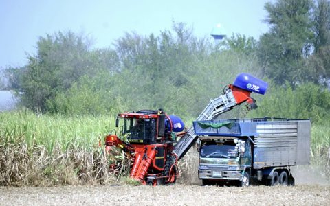 泰国甘蔗和糖业委员会批准2025/26榨季甘蔗收购指导价每吨890铢