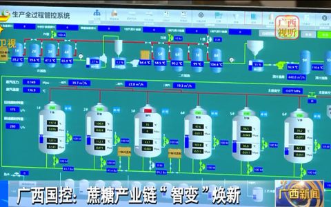 广西国控：蔗糖产业链“智变”焕新 广糖集团年销破100亿元