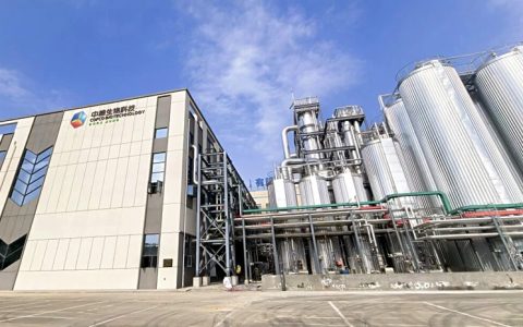 全国最大调味糖基地：中粮成都扩能至27万吨 阿洛酮糖量产 糖业界的“温和替代”正在发生