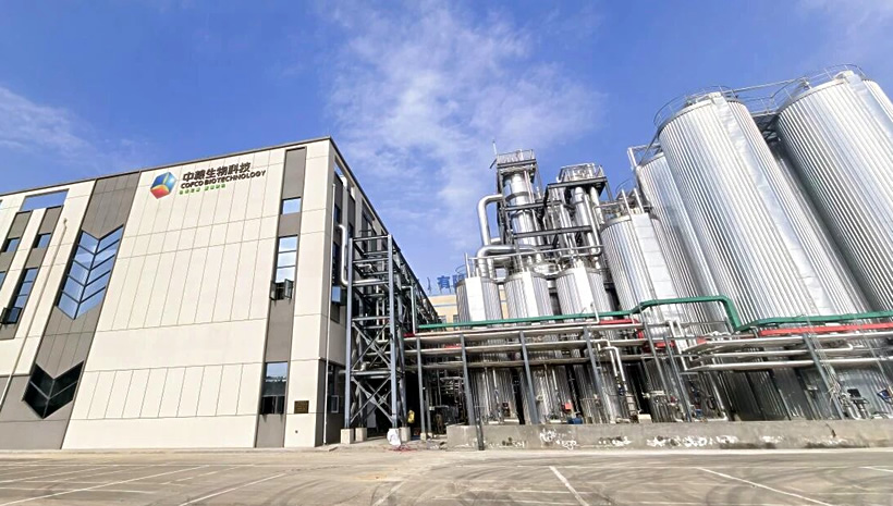 全国最大调味糖基地：中粮成都扩能至27万吨 阿洛酮糖量产 糖业界的“温和替代”正在发生