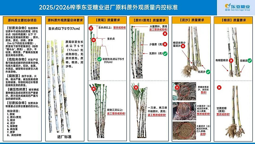 每根甘蔗都凝结汗水，为何还要严守“扣杂”关？--致广大蔗农朋友的一封解读信