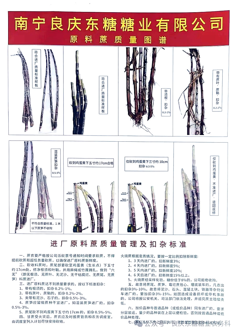 每根甘蔗都凝结汗水，为何还要严守“扣杂”关？--致广大蔗农朋友的一封解读信