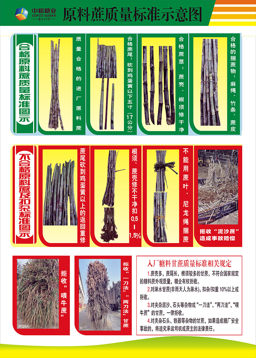每根甘蔗都凝结汗水，为何还要严守“扣杂”关？--致广大蔗农朋友的一封解读信