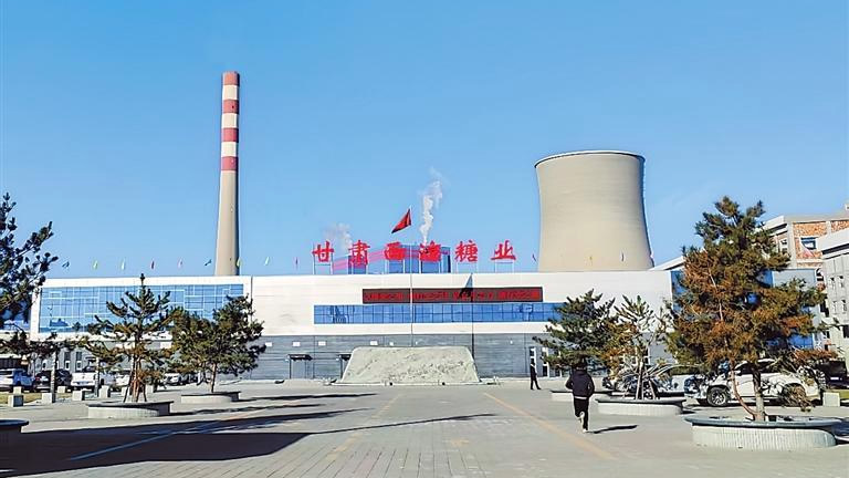 甘肃武威新建的甜菜糖厂：干一份甜蜜事业