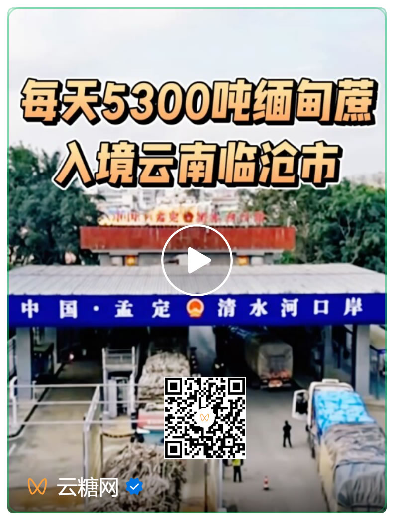 云南临沧：每天5300吨缅甸甘蔗通关入境 本榨季预估天量80万吨