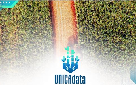 【解读】截至1月1日已产糖4022万吨！巴西2025/26榨季尾声深度观察