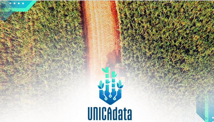 【解读】截至1月1日已产糖4022万吨！巴西2025/26榨季尾声深度观察