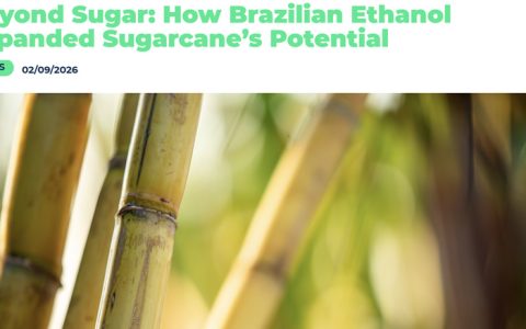 《超越食糖：巴西乙醇如何拓展甘蔗的潜力》