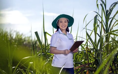 引领越南十亿美元糖企走向全球：越南糖业公主的甜蜜传奇