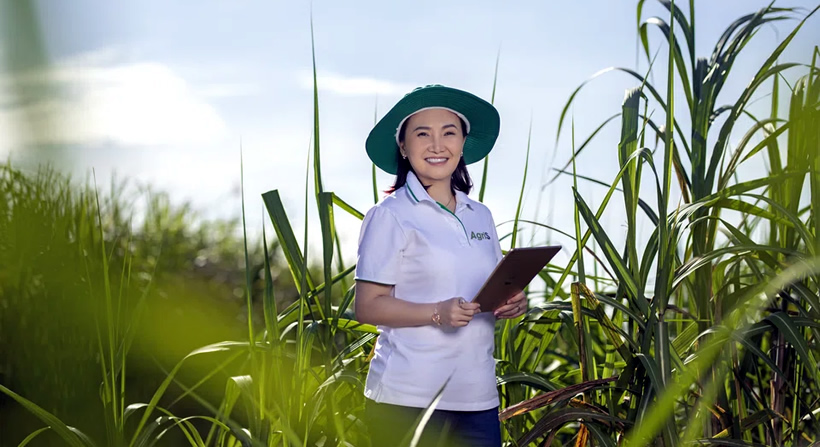引领越南十亿美元糖企走向全球：越南糖业公主的甜蜜传奇