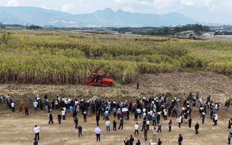2026年糖料蔗机收新装备现场演示暨机收技术交流培训会在云南耿马举办