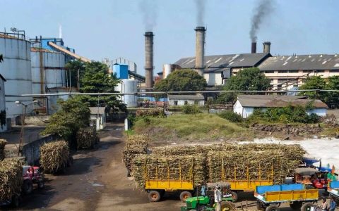 大图：甘蔗减产，印度北方邦一糖厂提前结束榨季生产