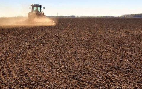 乌克兰最大糖企Astarta启动2026年甜菜春播，种植面积缩减6%